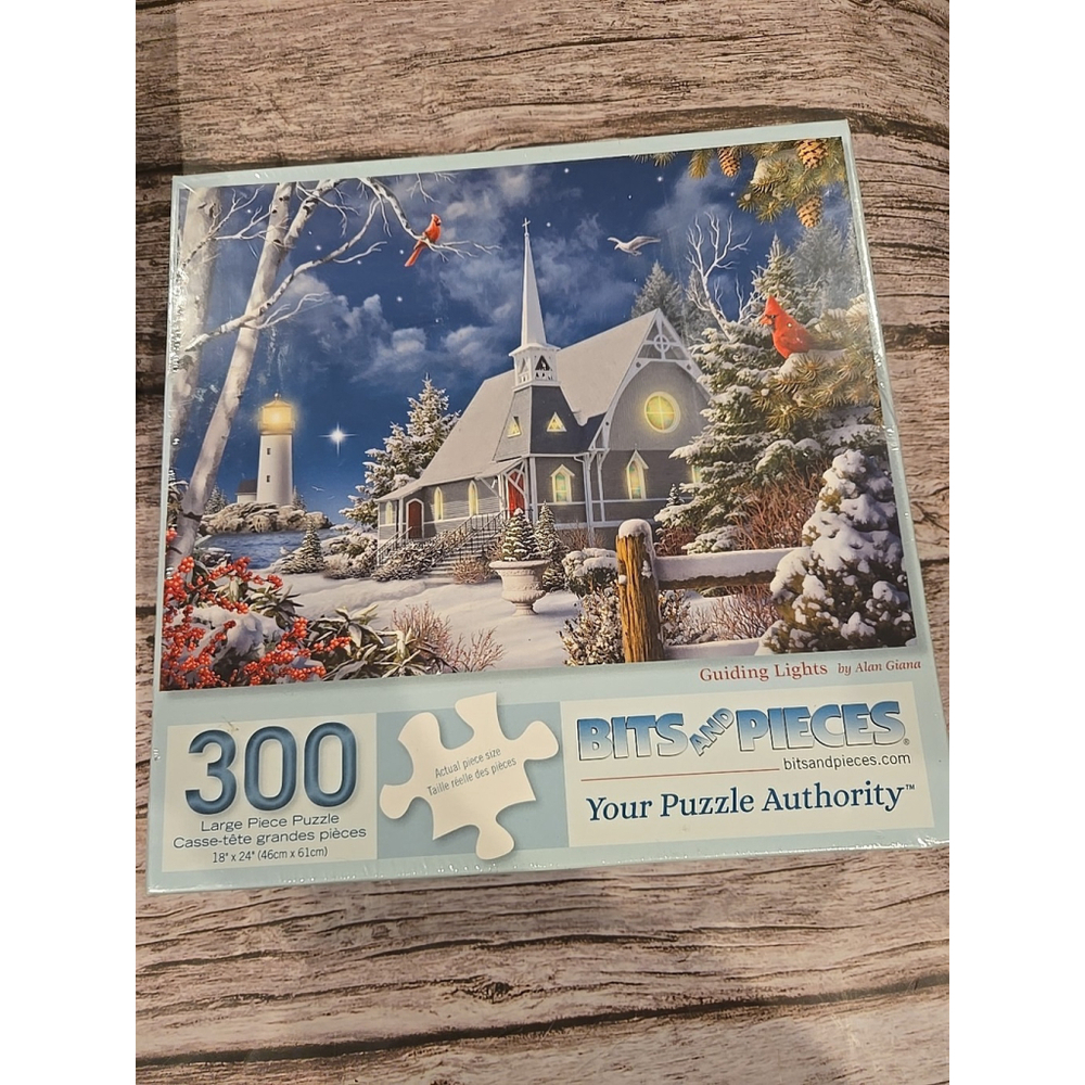 Bits & Pieces 300 Piece Puzzle 18"x24" Alan Giana Snowy Evening Lights New(250)